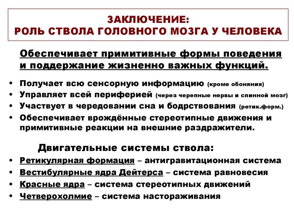 ЗАКЛЮЧЕНИЕ: РОЛЬ СТВОЛА ГОЛОВНОГО МОЗГА У ЧЕЛОВЕКА