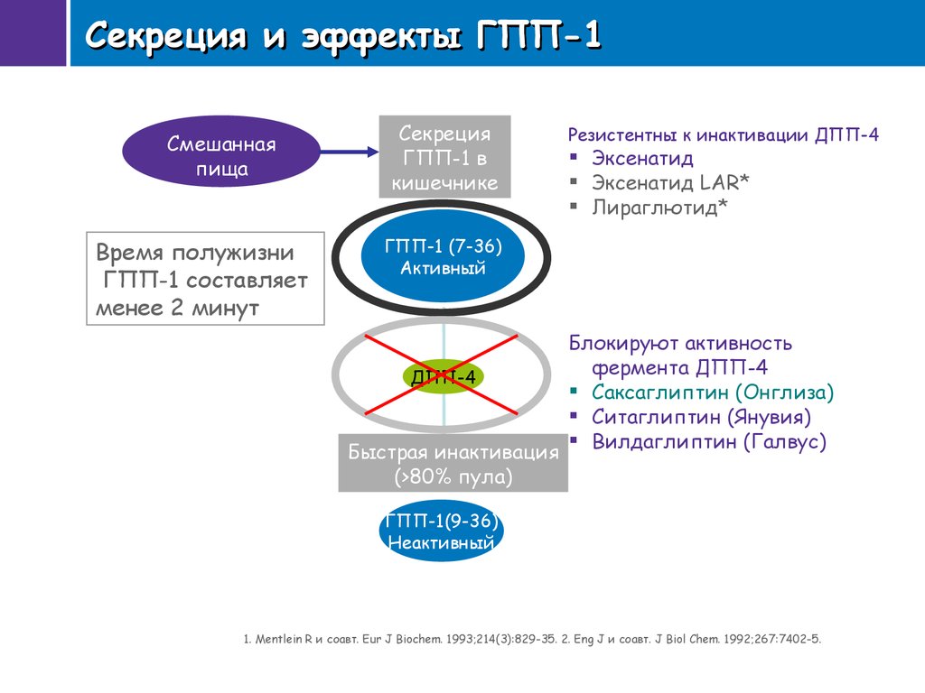 Chem eur j. Секреторный эффект. 4 Разделы GPP. DJ Diabetes.