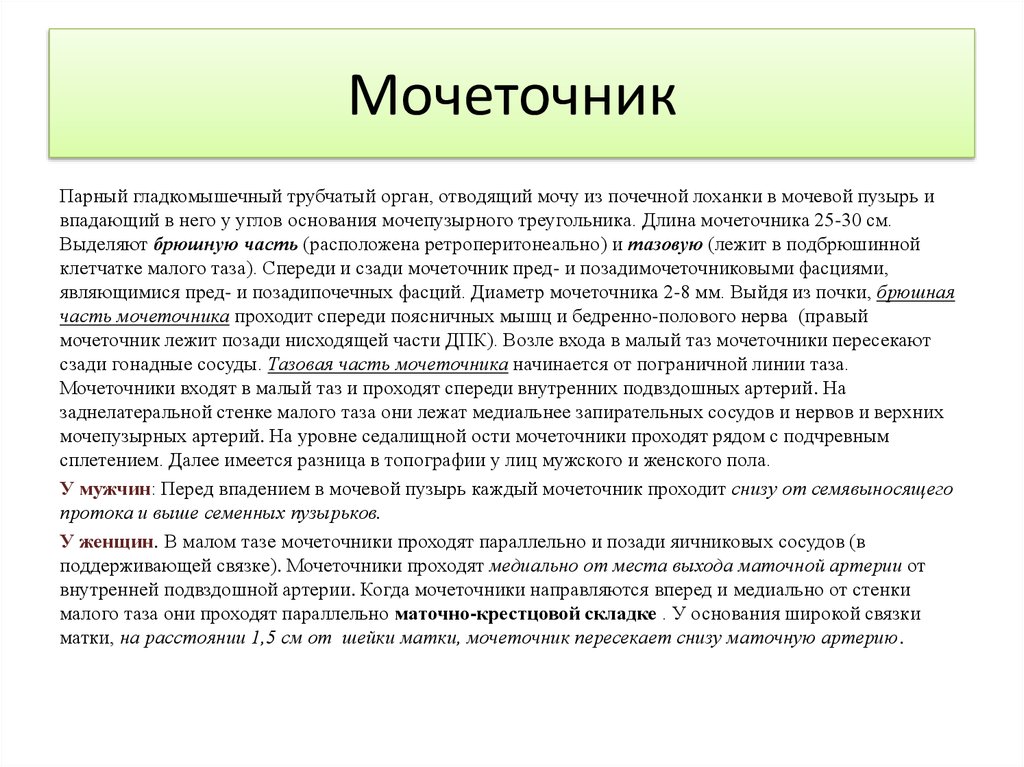 Из почечных лоханок моча попадает в мочевой. Орган отводящий мочу. Орган отводящий мочу от почки. Интрамуральные отделы мочеточника. Структуры отводящие мочу от почки.