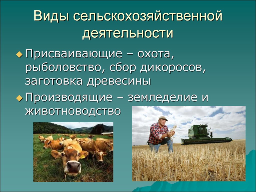 Как между собой связано сельское хозяйство ремесло. Хозяйственная деятельность человека. Виды сельскохозяйственной деятельности. Виды сельскохозяйственных работ. Сельское хозяйство виды деятельности.