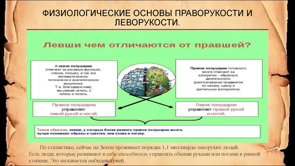 Проанализируйте рисунок на с 247 учебника какие способности чаще встречаются у левшей кратко