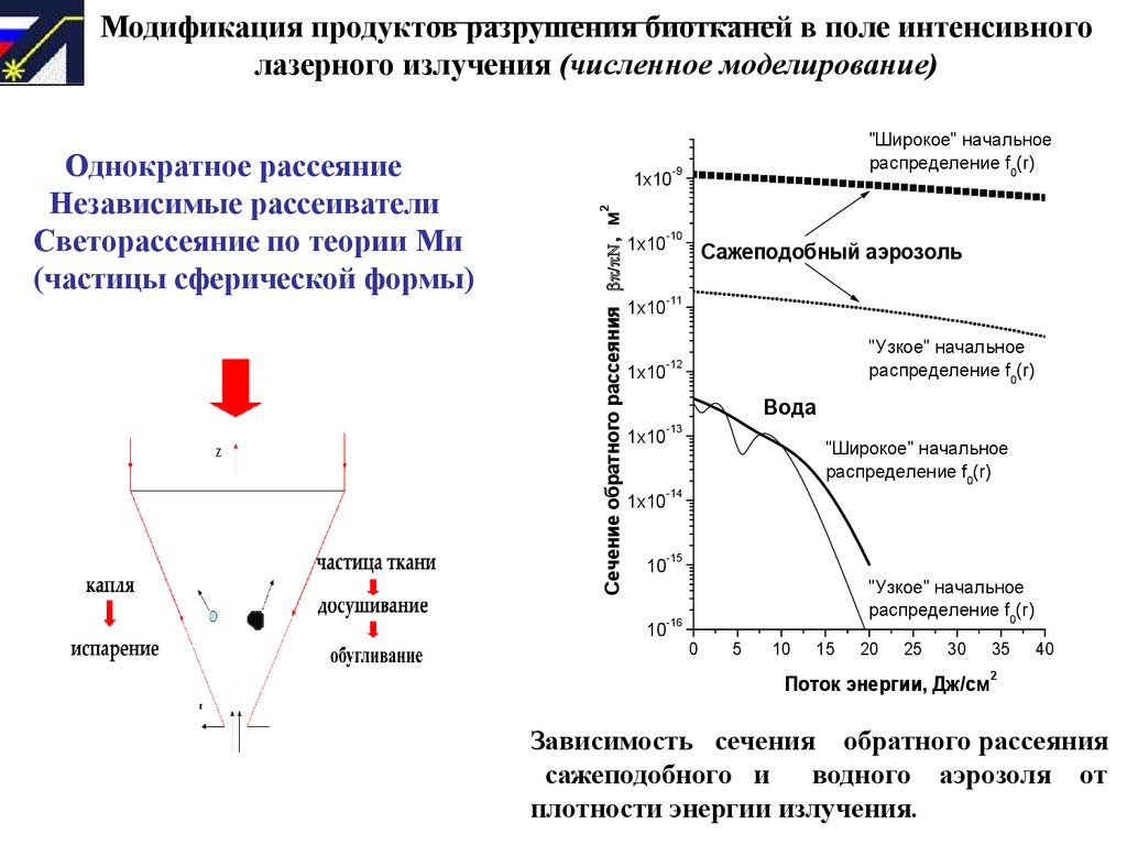 Обратное рассеяние в фотографии