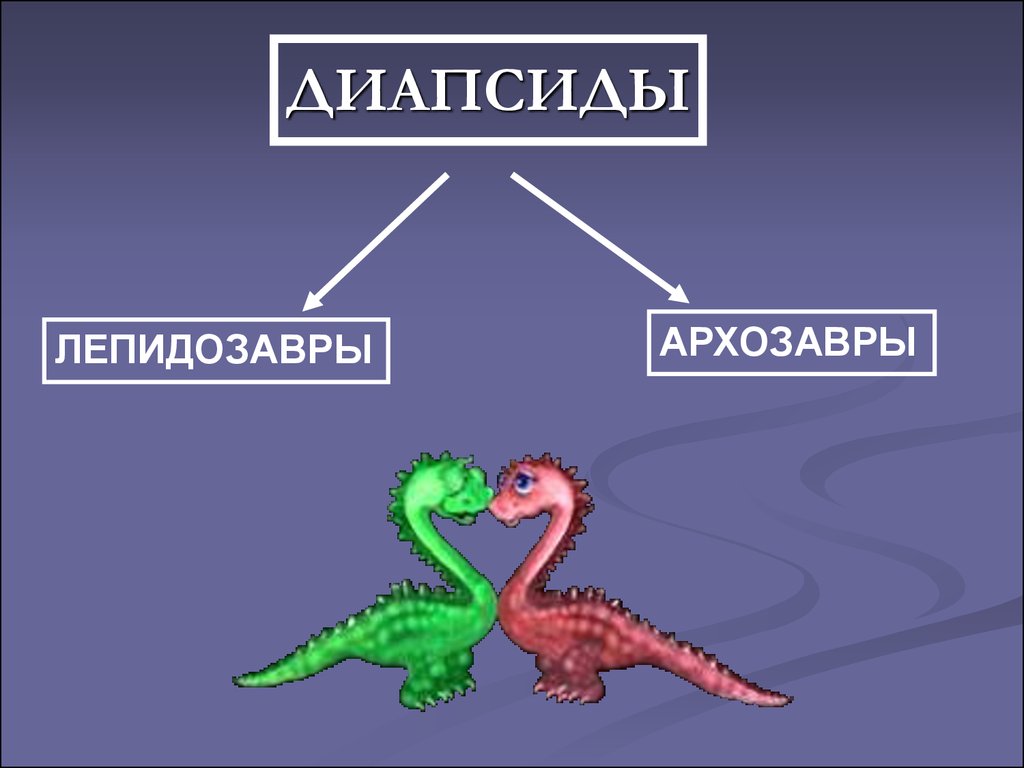 Диапсиды. Лепидозавры и архозавры. Анапсиды диапсиды и синапсиды. Птицы диапсиды. Классификация динозавров архозавры.