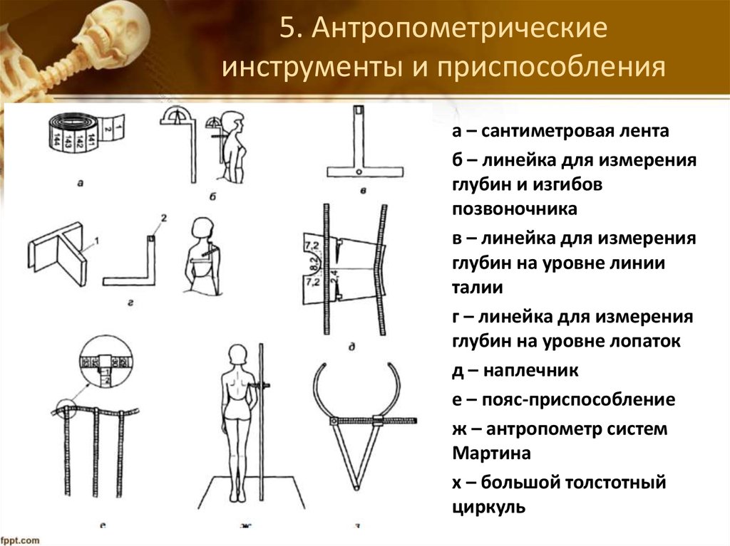 Приборы для измерения тела человека