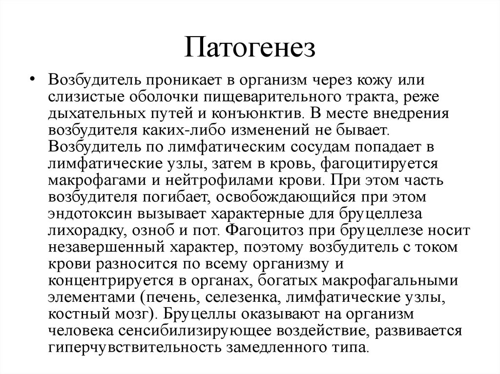 Бруцеллез патогенез. Бруцеллез эпидемиология. Бруцеллез этиология эпидемиология. Патогенез бруцеллеза. Бруцеллез этиология патогенез.