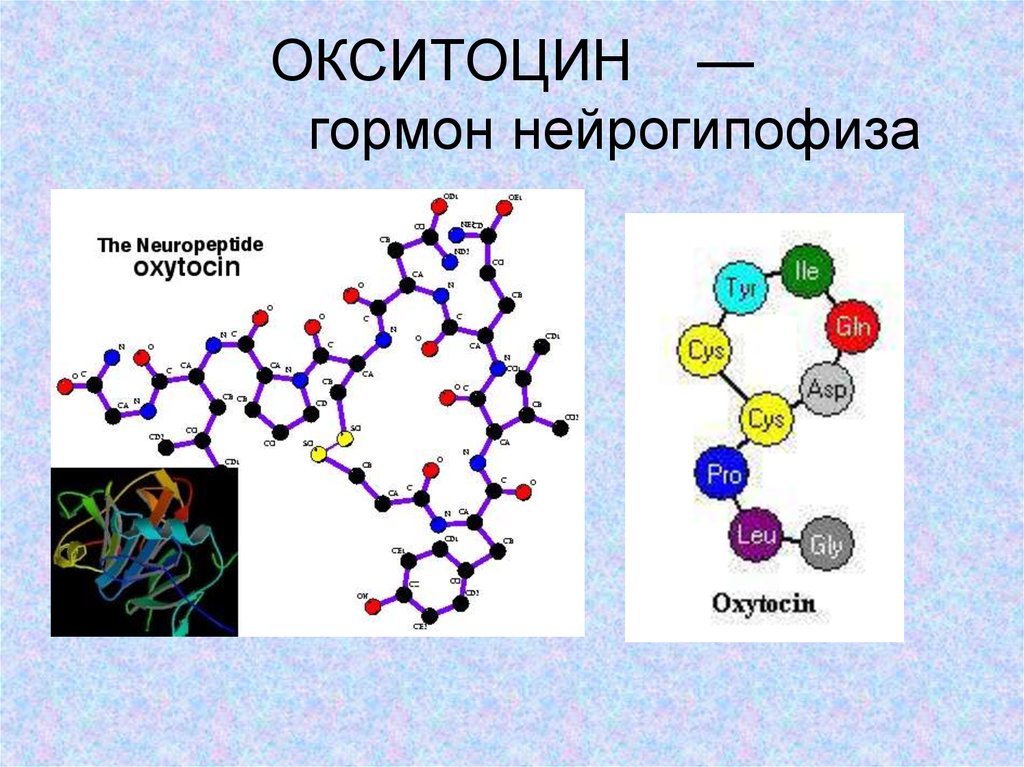 Выработка окситоцина