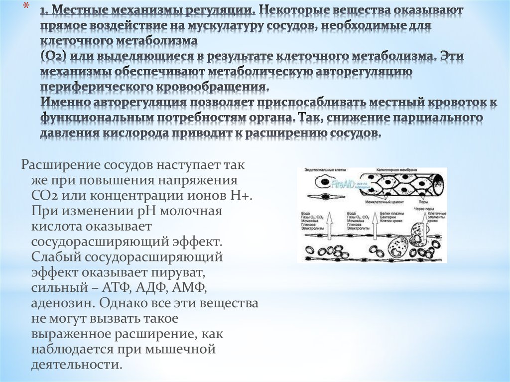 Муниципальные механизмы. Механизмы местной регуляции. Специфические механизмы для регуляции клеточного метаболизма. Авторегуляция транскрипции. Авторегуляция химической активности клетки.