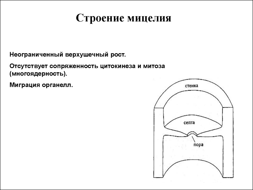 22 строение