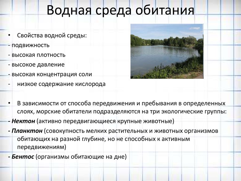 Главной особенностью водной среды обитания является тест. Водная среда обитания характеристика. Основные признаки водной среды. Основная характеристика водной среды. Водная среда обитания особенности среды.