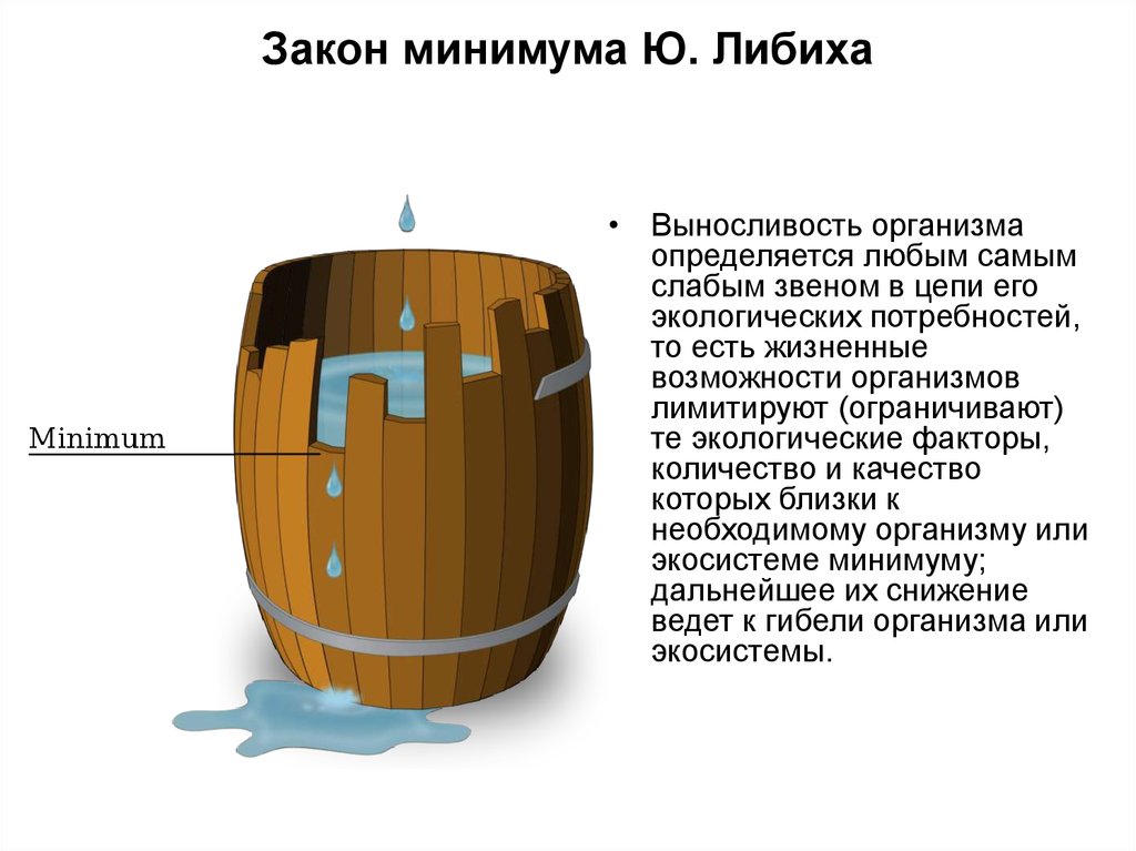 Схема лимитирующего фактора