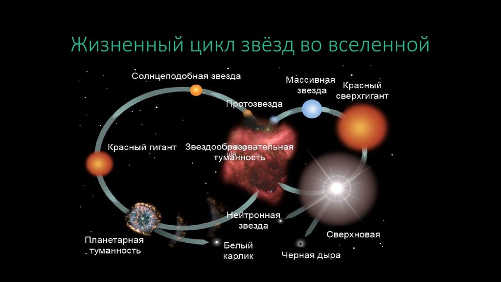 На рисунке представлены этапы жизненного цикла звезд средней массы типа солнца и массивных звезд