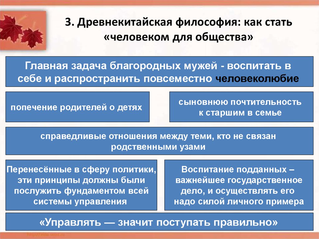 Философия общества изучает