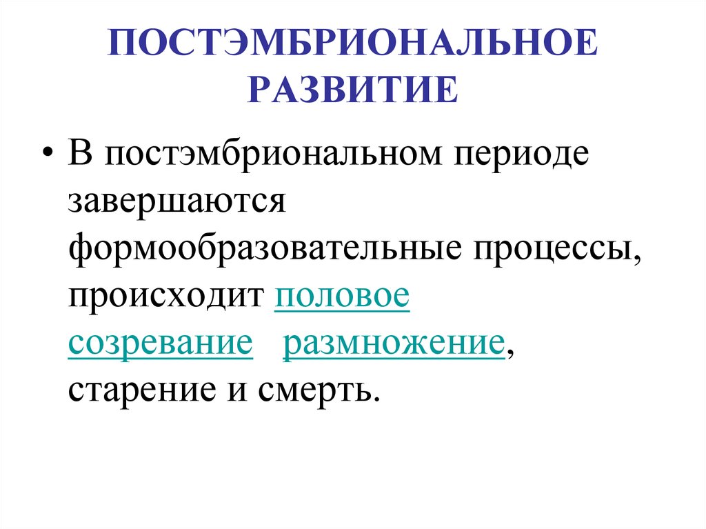 Этапы постэмбрионального развития человека