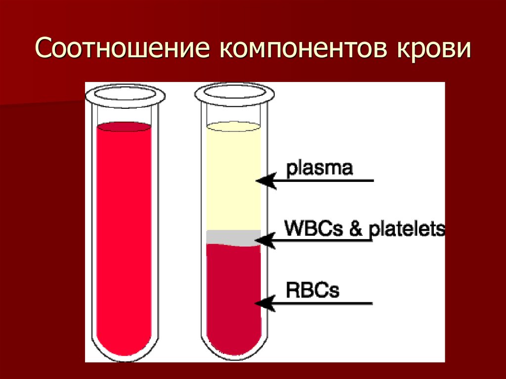 Сыворотка крови биологических. Соотношение компонентов крови. Пробирка плазма эритроциты. Расслоение крови в пробирке. Кровь в пробирке слои.