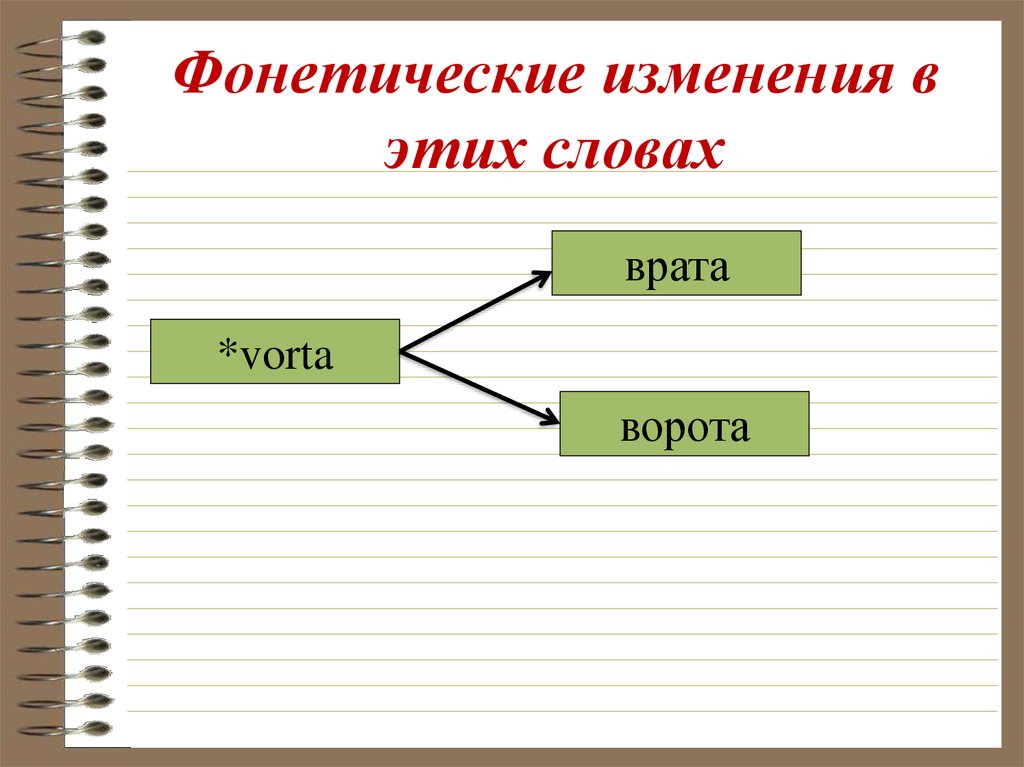 Фонетическое изменение слова. История слова врата. Одинаковое слово к слову врата. Есть ли такое слова врата.