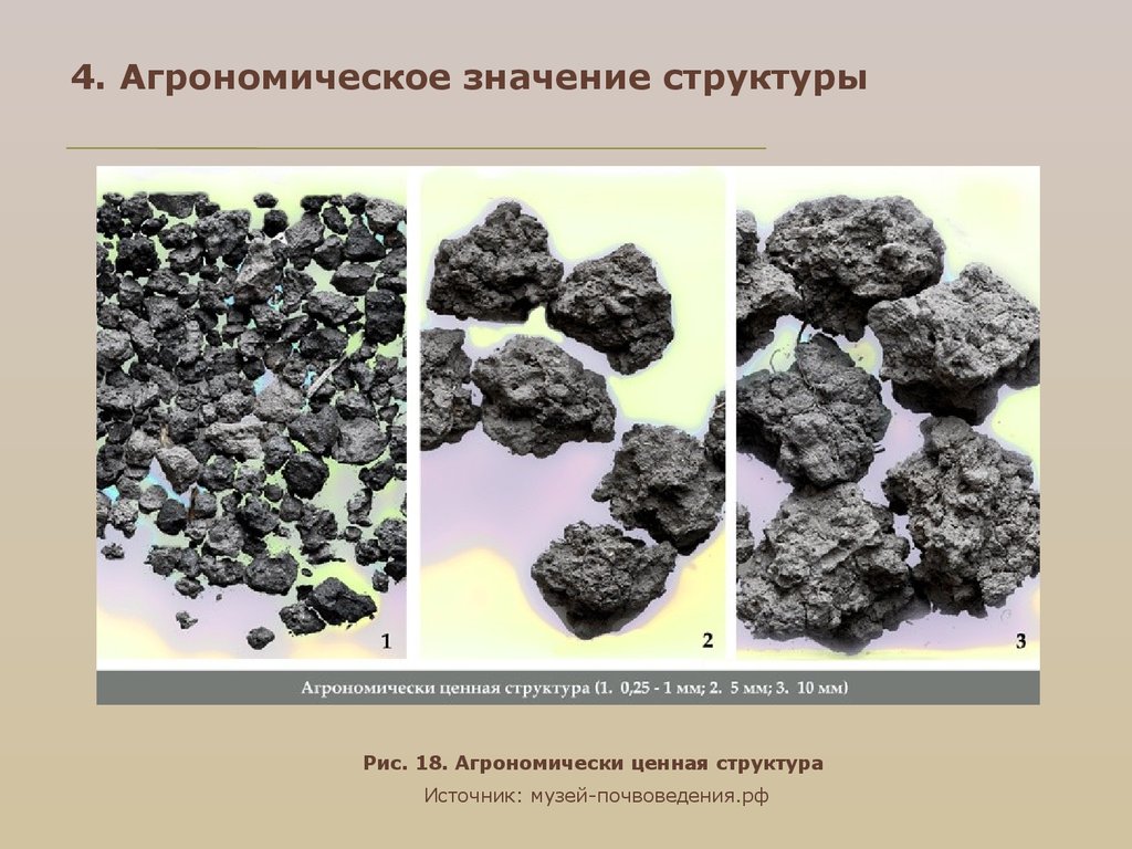 Что такое структура почвы кратко