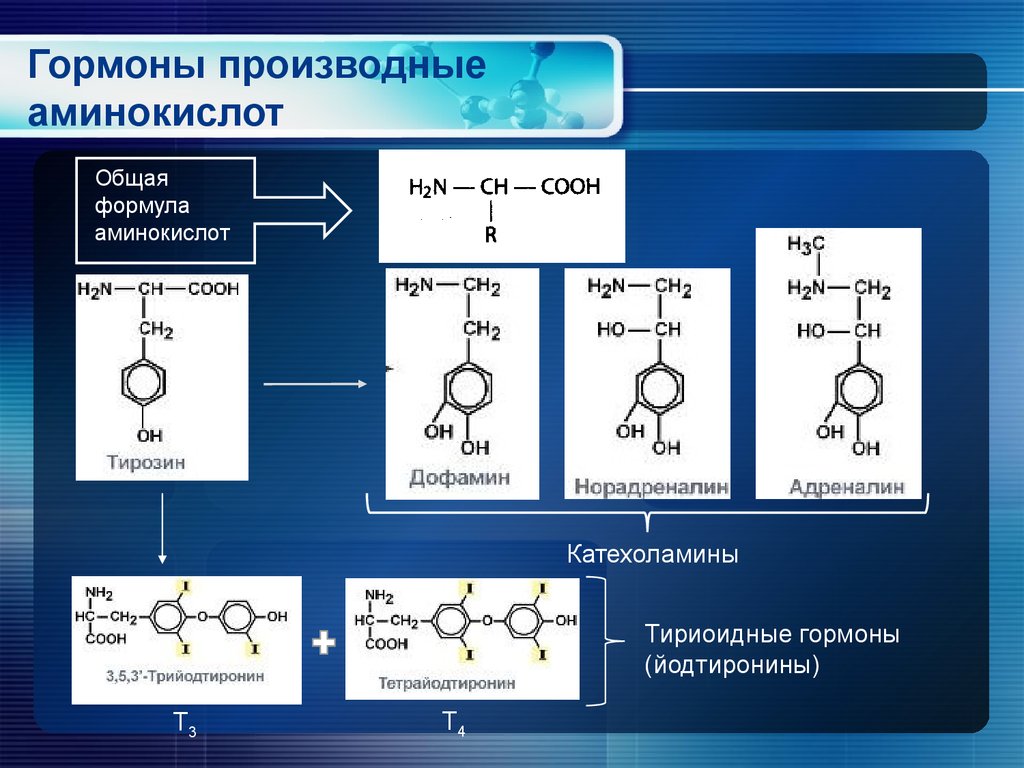 Гормоны презентация по химии 10 класс кратко