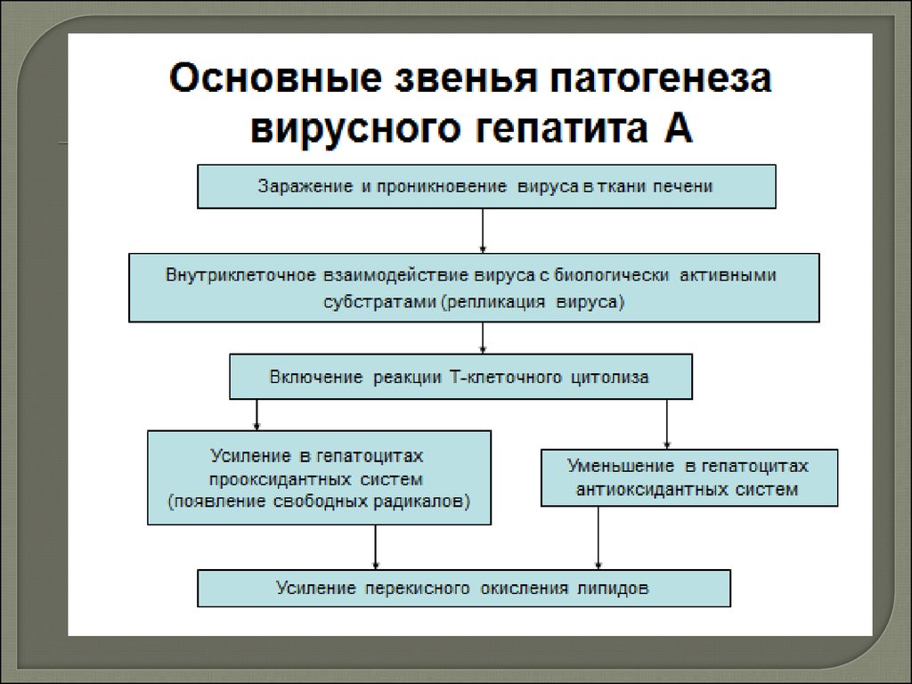 Патогенез гепатита б схема