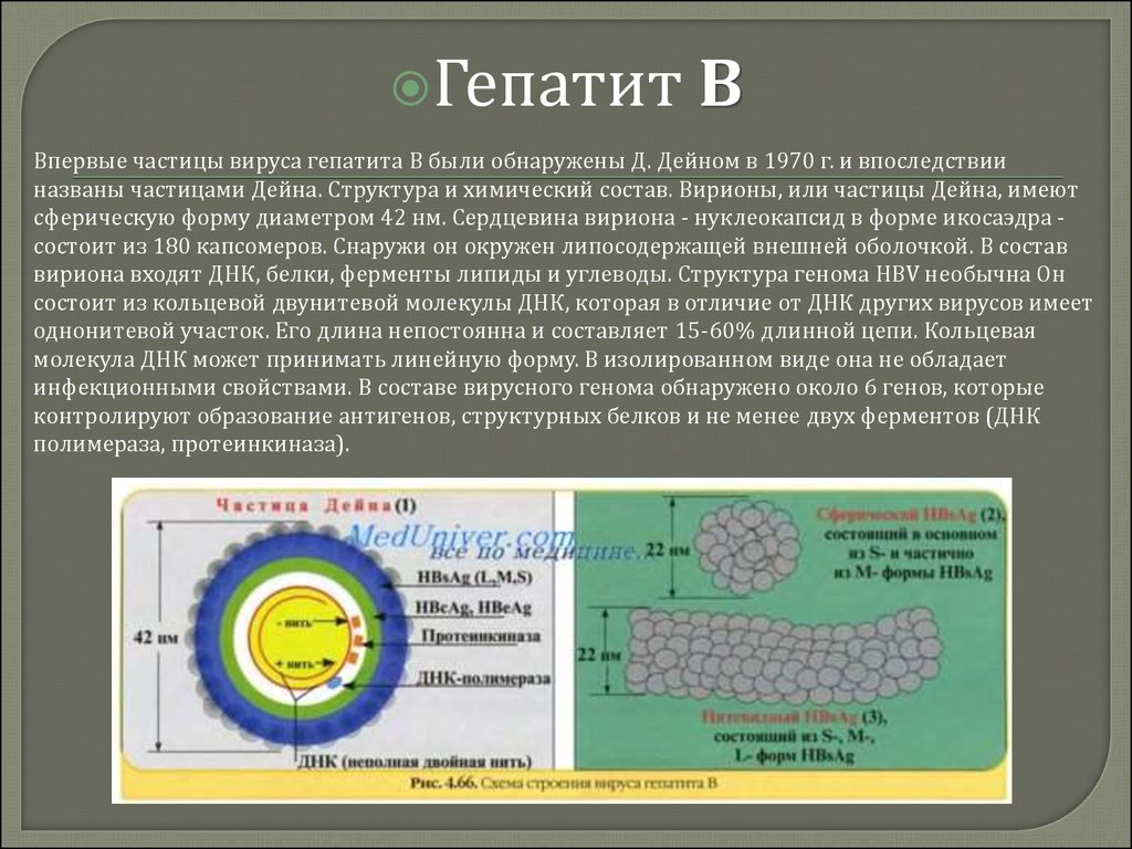 Вирусную частицу называют