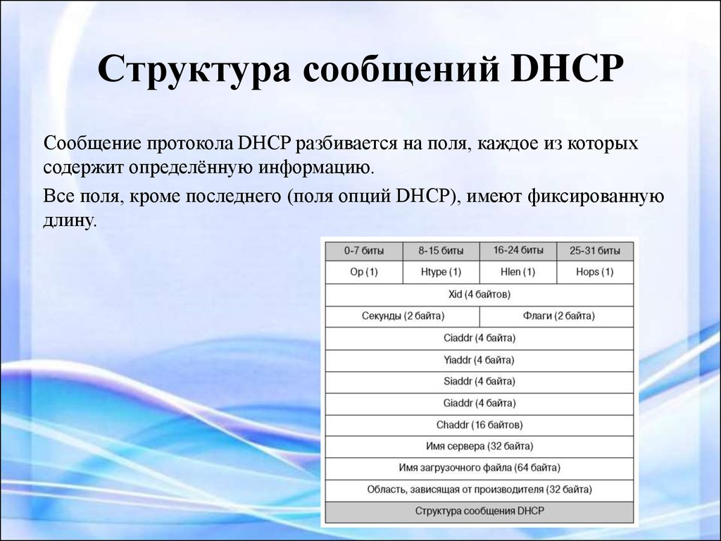 Структура сообщений DHCP