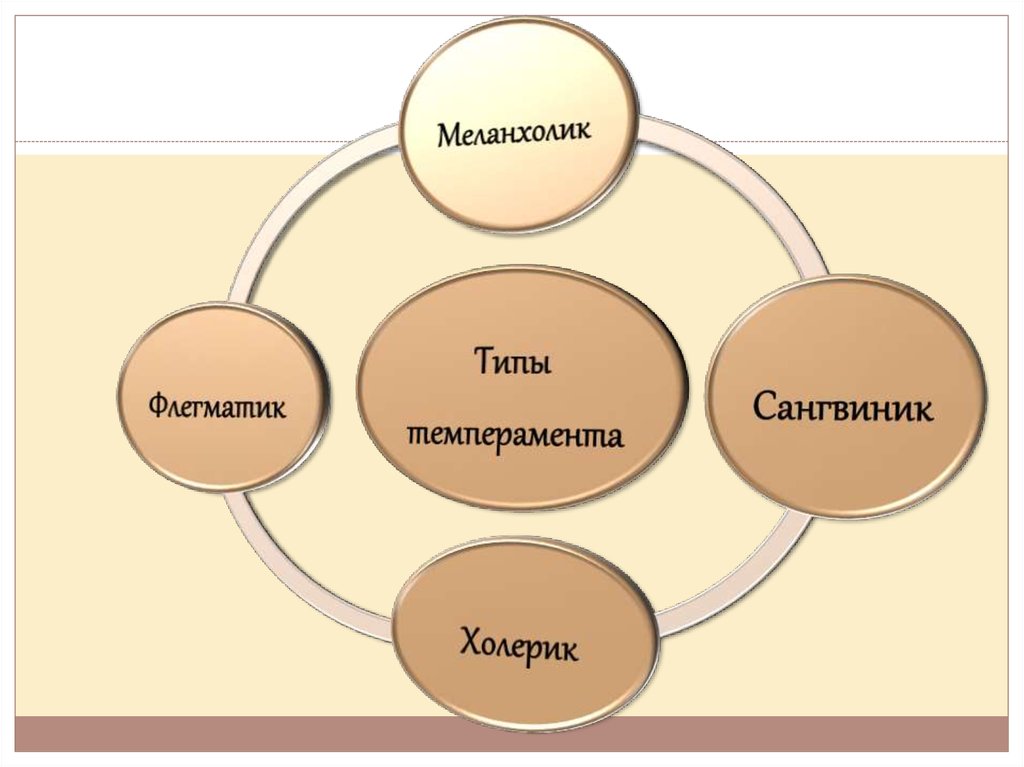 Темперамент презентация 8 класс технология