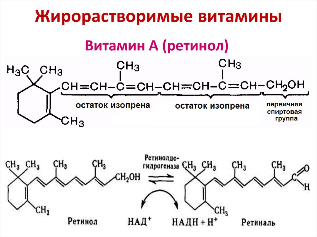 Витамин д презентация биохимия