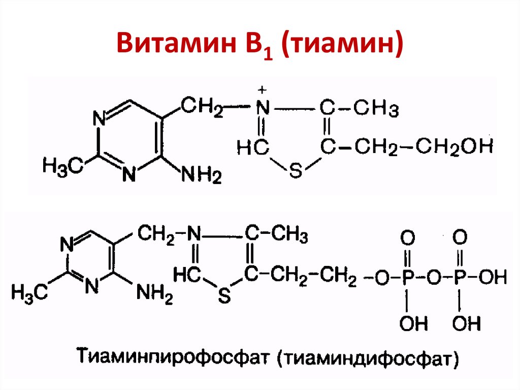 Формула спорит. Витамин в1 структура. Витамин в1 тиамин формула. Витамин в1 структурная формула. Химическое строение витамина в1.