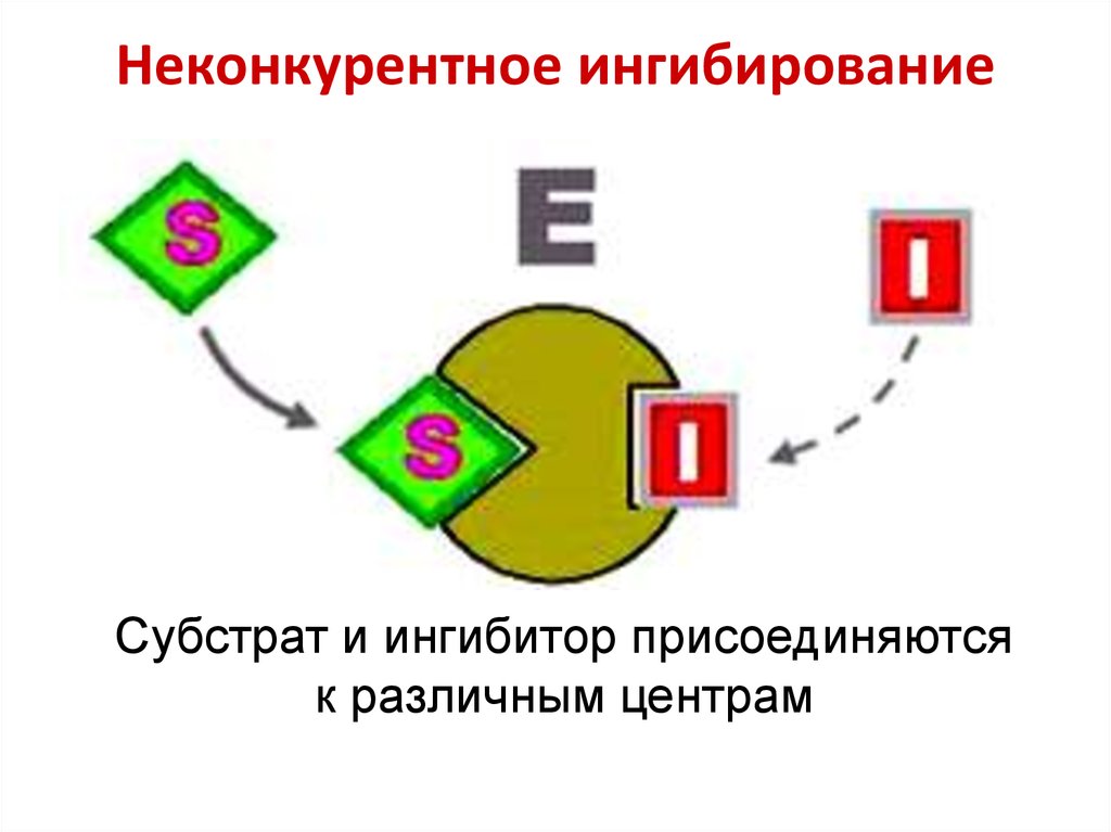 Неконкурентное ингибирование схема