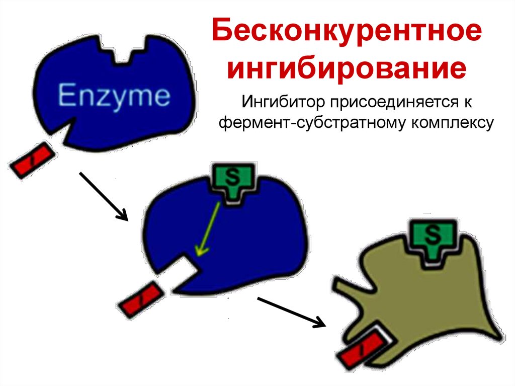 Схема конкурентного ингибирования