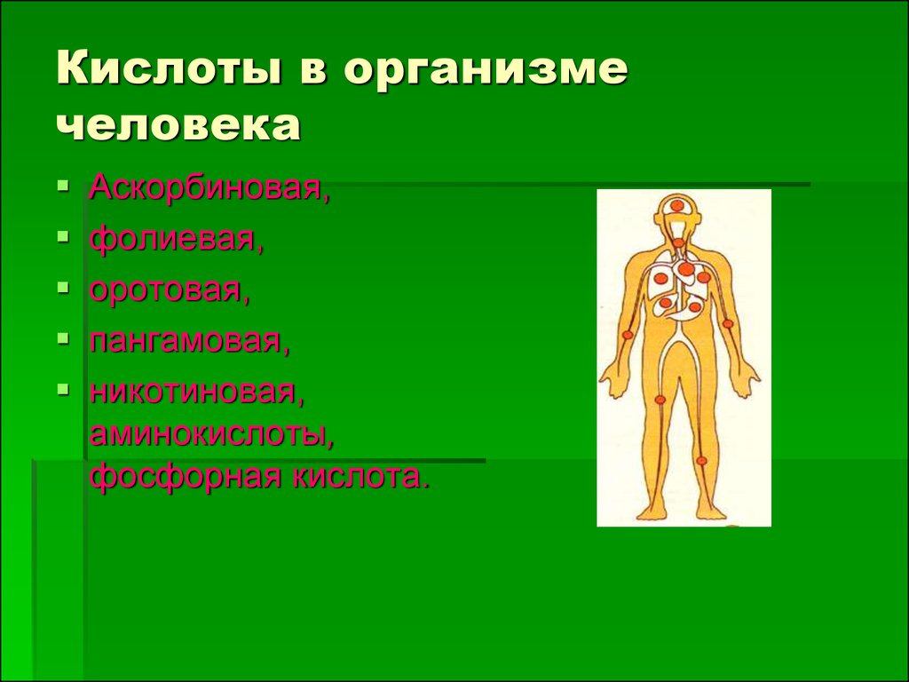 В организме человека выделяют. Кислоты в организме человека. Кислоты вырабатываемые в организме человека. Кислоты в человеческом организме. Роль кислот в организме человека.