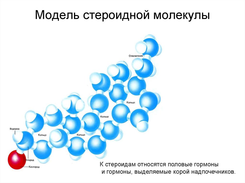 Гормоны картинки без фона