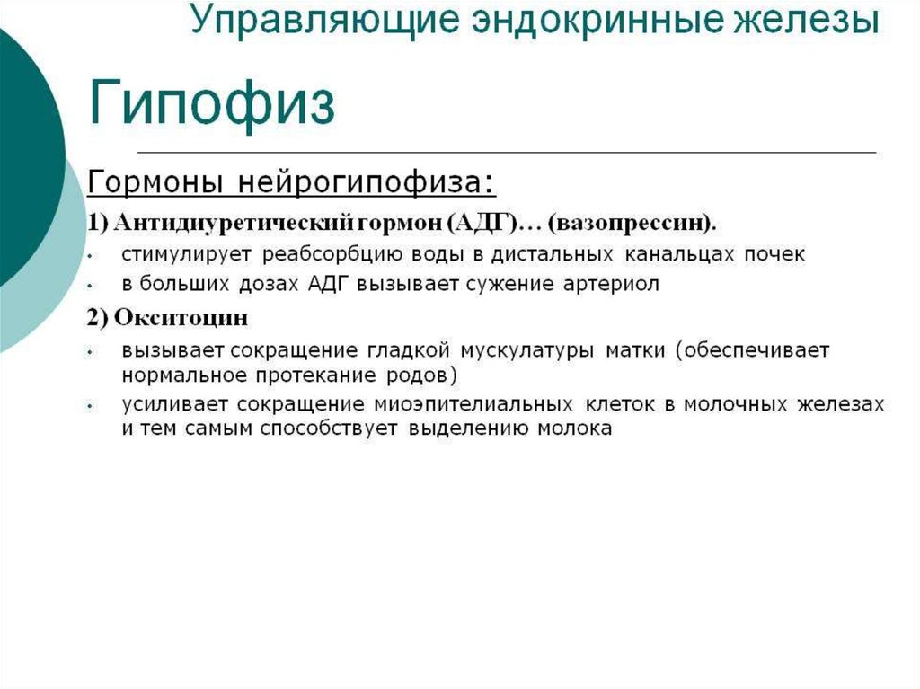 Гормоны нейрогипофиза. Нейрогипофиз гормоны и функции. Функции гормонов нейрогипофиза. В нейрогипофизе вырабатываются гормоны. Нейрогипофиз физиологический эффект гормонов.