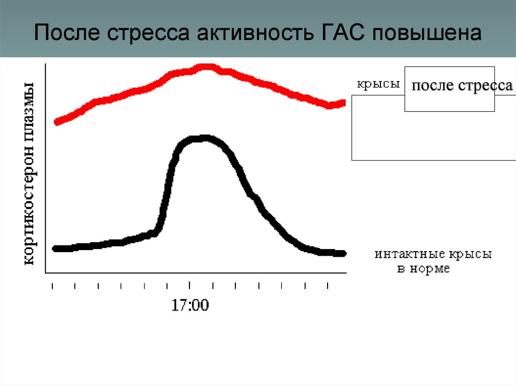 После стресса. Активность Гас. Механизм возникновения депрессии физиология. Физиология стрессе и депрессии. Виды неконтролируемого стресса.