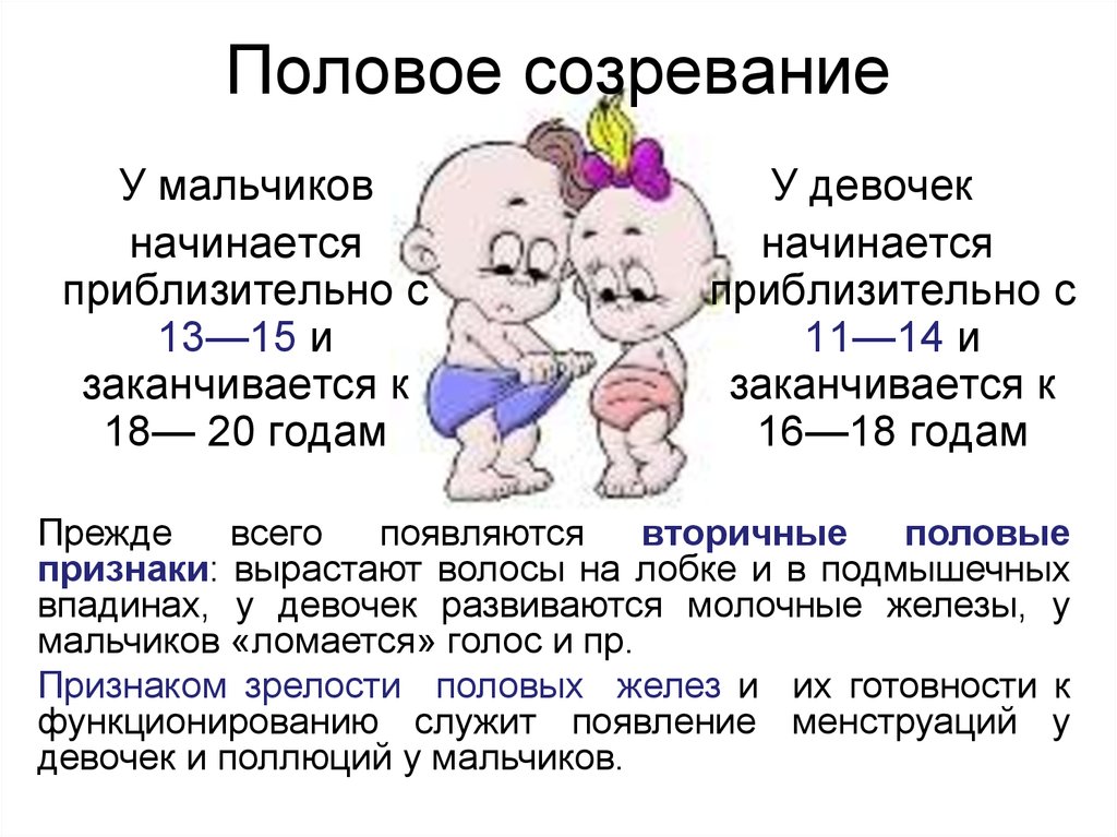 Во сколько начинают половую жизнь. Половое созревание. Половое развитие. Возраст полового созревания у мальчиков и девочек. Половое созревание у девочек начинается.