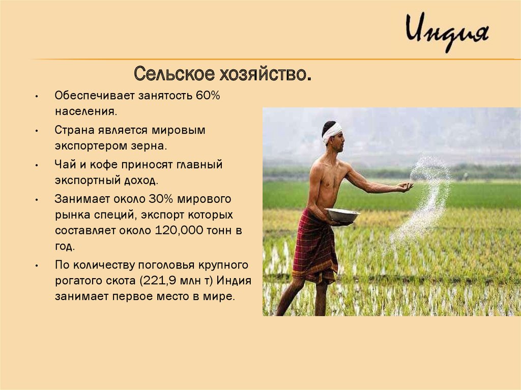 Экономика Индии - online presentation