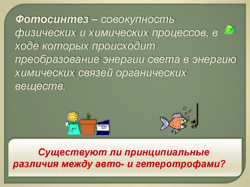 Происходит преобразование энергии света в. Фотосинтез это физическое или химическое. Фотосинтез Тип физическое или хим.