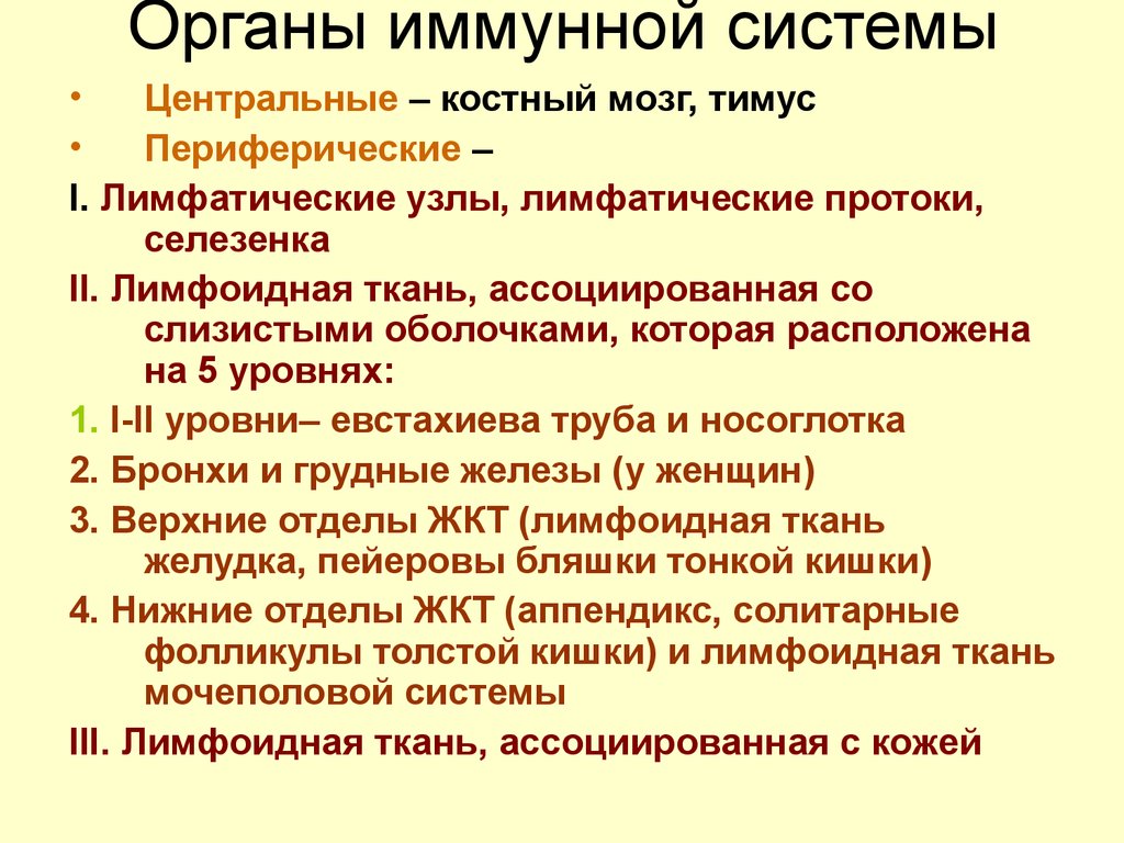 Иммунные органы