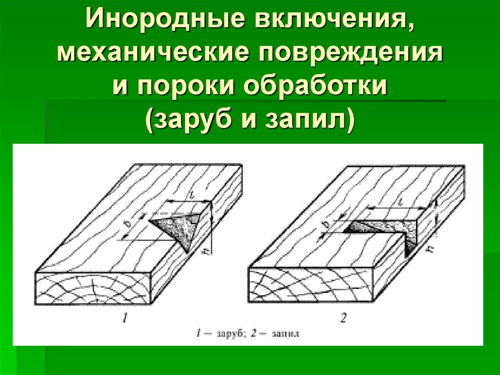 Дефекты обработки. Инородные включения, механические повреждения и пороки обработки. Пороки древесины механические повреждения. Дефекты и инородные включения в древесине. Инородные включения, механические повреждения древесины.