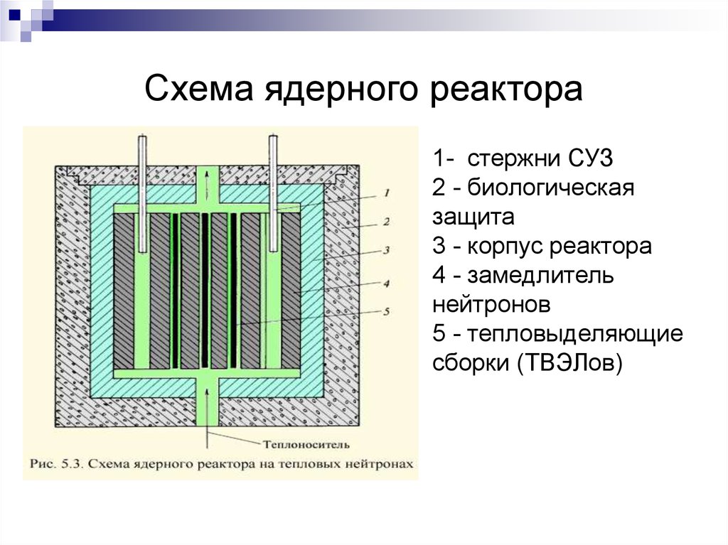 Назначение теплоносителя в ядерном реакторе. Схема строения ядерного реактора. Схема первого ядерного реактора. Тепловыделяющий элемент ядерного реактора схема. Схема ядра реактора.