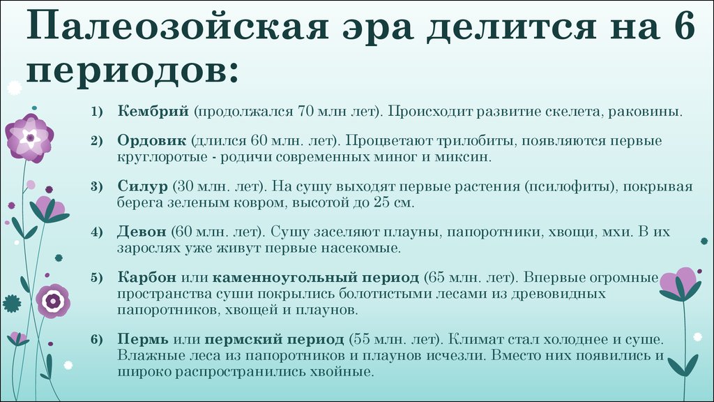 Описание периодов. Палеозойская Эра 6 периодов таблица. Периоды археощойско эры. Периоды палкозольсокй эры. Перуды Палео зойской эры.