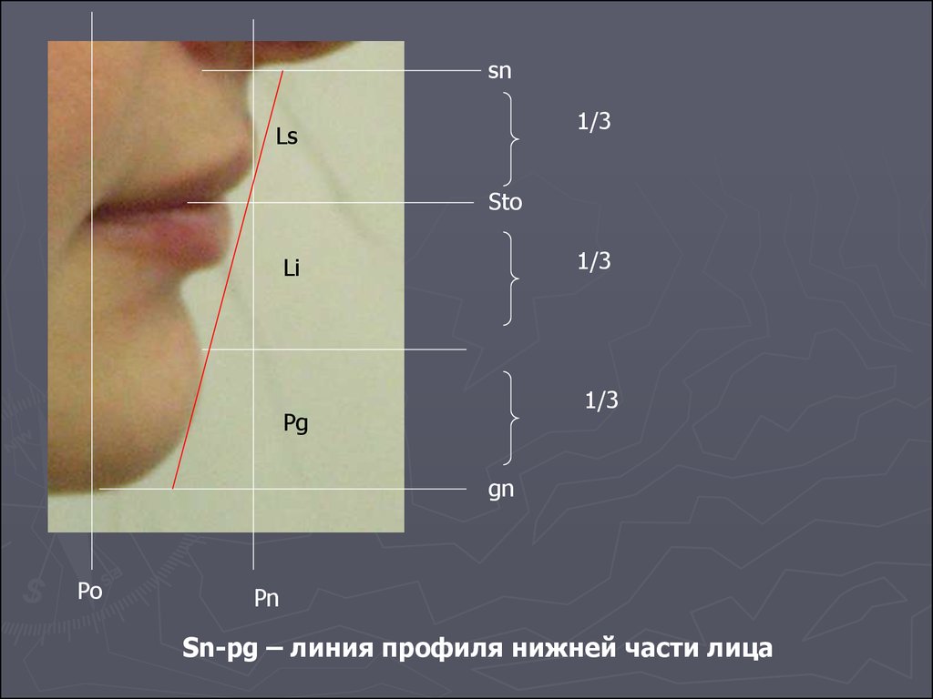 Линия профиля. Линия профиля лица. Профиль нижней части лица. Нижняя часть лица. Линия профиля лица в имиджелогии.