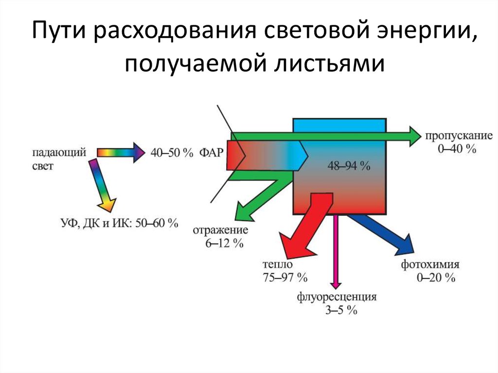 Использование световой энергии