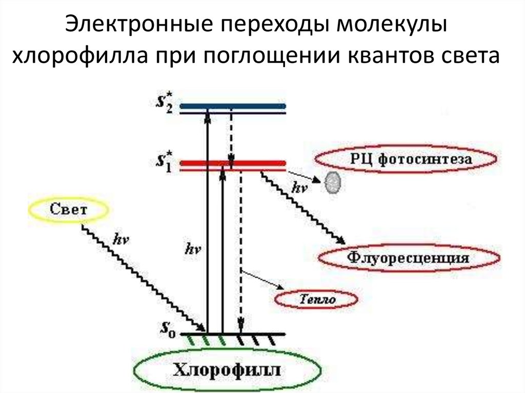 Энергия электронных переходов