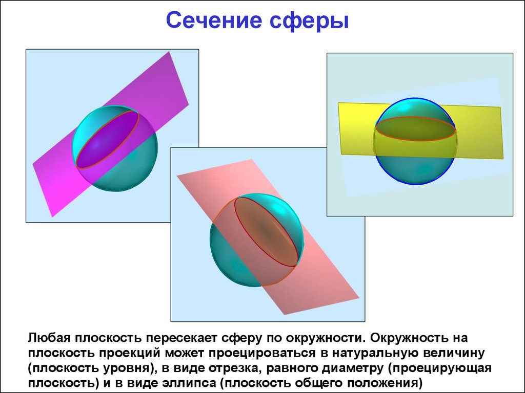 На уровне любых поверхностей. Сечение сферы и шара плоскостью. Плоские сечения сферы. Любое сечение сферы плоскостью является окружностью.. Сферические сечения.