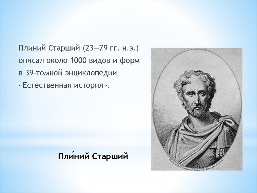 Открывать старший. Плиний старший (Гай Плиний секунд). Гай Плиний старший вклад в биологию. Плиний старший (23—79 гг. н.э.). Гай Плиний старший заслуги.