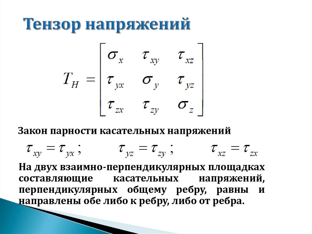 Тензор владивосток