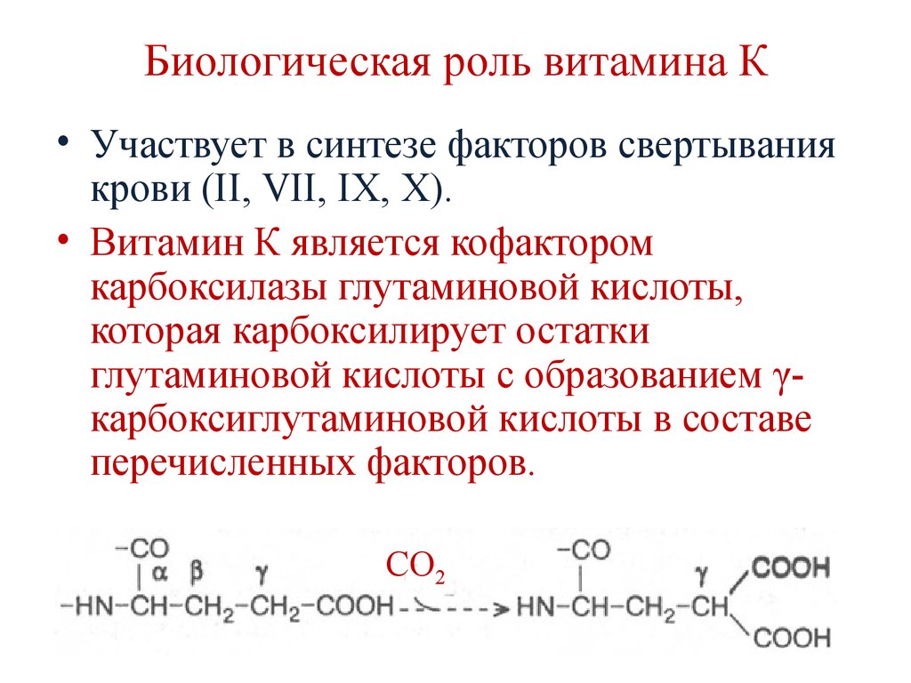 Витамин к презентация биохимия