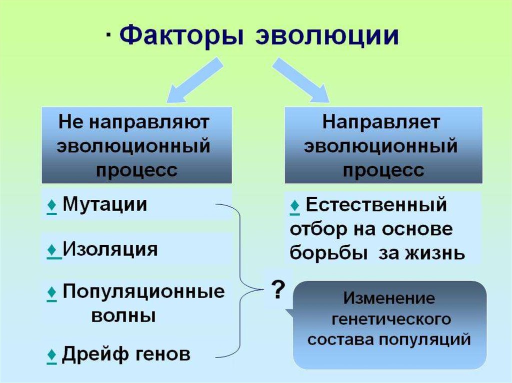 Механизмы эволюции презентация