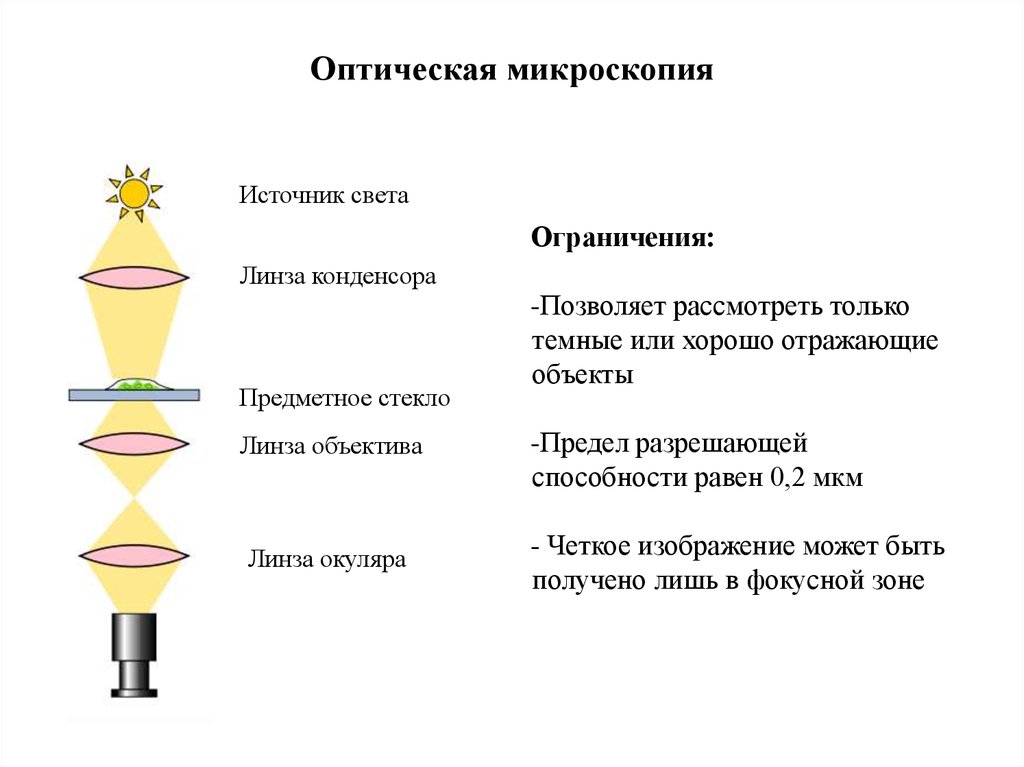 Оптическая микроскопия. Метод оптической микроскопии. Современная оптическая микроскопия. Оптическая микроскопия кратко.