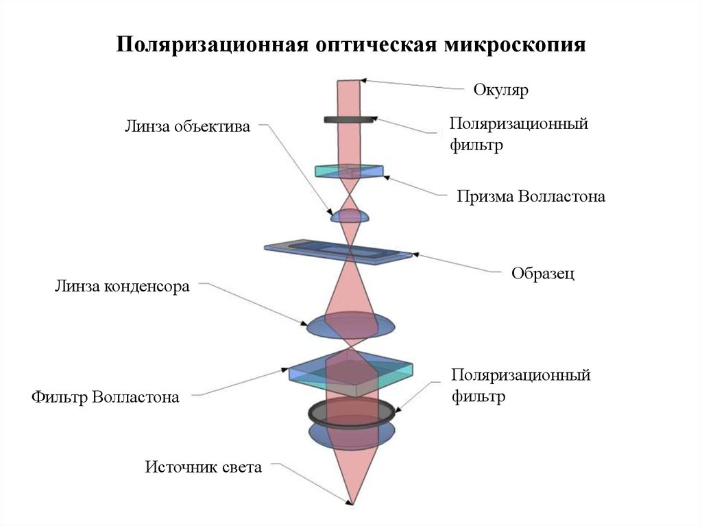 Действие микроскопа. Поляризационный микроскоп схема. Оптическая схема поляризованного микроскопа. Метод поляризационной микроскопии. Поляризационный микроскоп схема поляризатора.